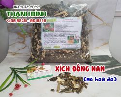 Xích đồng nam [công dụng, cách dùng] mua ở đâu nguyên chất?