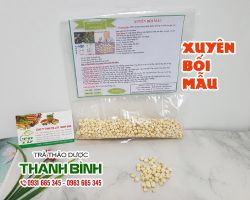 Xuyên bối mẫu [công dụng, cách dùng] mua ở đâu nguyên chất?