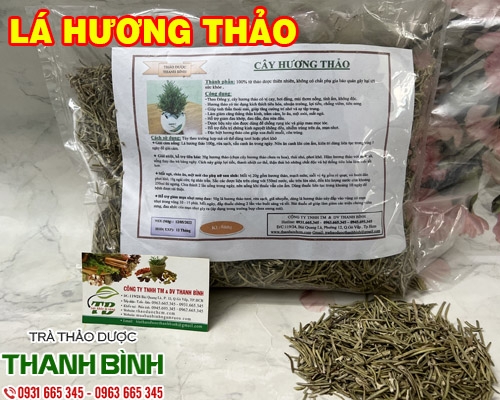 Địa chỉ bán cây hương thảo điều trị ăn uống khó tiêu tại Hà Nội uy tín nhất