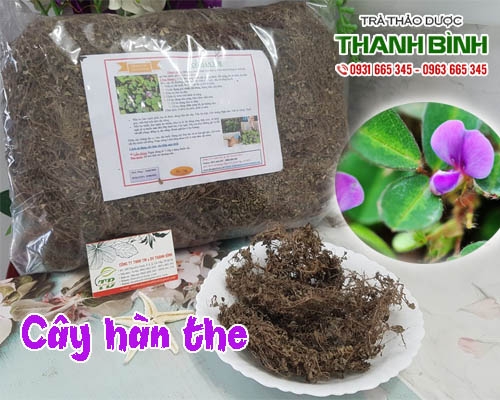 Mua bán cây hàn the tại quận Thanh Xuân điều trị bí tiểu do cơ thể bị nhiệt
