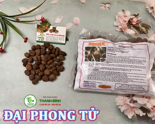 Mua bán đại phong tử tại Ninh Bình có công dung điều kháng viêm hiệu quả