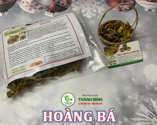 Mua bán hoàng bá tại Quảng Ninh giúp thanh nhiệt táo thấp