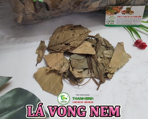 Mua bán lá vông nem tại Bình Phước có công dụng giảm thiểu chứng nhức đầu