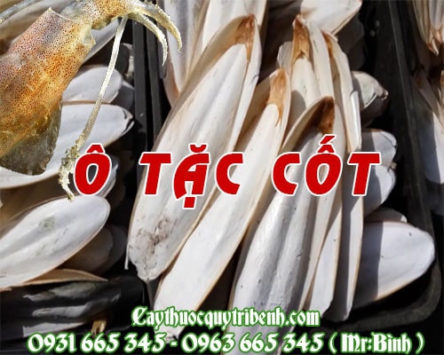Mua bán ô tặc cốt (mai mực) ở quận Bình Tân hỗ trợ điều trị ợ chua hiệu quả