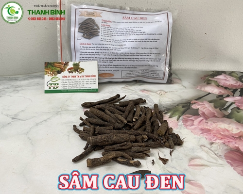 Mua bán sâm cau đen tại Thái Nguyên hỗ trợ tăng cường ham muốn