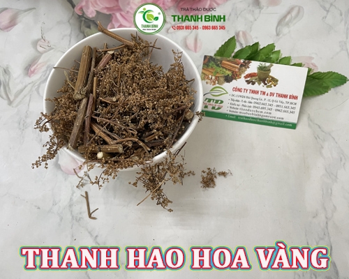 Mua bán thanh hao hoa vàng tại Ninh Bình giúp điều trị viêm phổi hiệu quả nhất