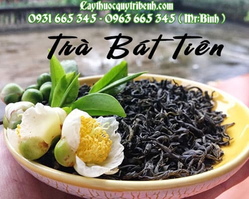 Mua bán trà bát tiên ở quận Tân Phú có tác dụng thanh nhiệt giải độc