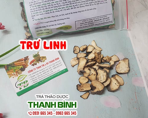 Mua bán trư linh ở quận Phú Nhuận có tác dụng tăng cường miễn dịch rất tốt