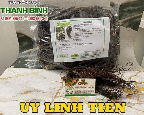 Mua bán uy linh tiên tại huyện Thanh Oai chữa bệnh nấm ngoài da