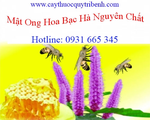 Tác dụng của mật ong hoa bạc hà nguyên chất trong điều trị viêm họng tốt nhất