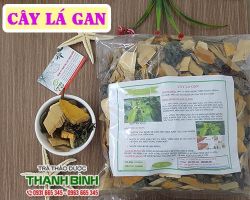 Mua bán cây lá gan ở quận Gò Vấp giúp điều trị rôm sảy an toàn nhất