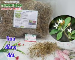 Mua bán cây rau đắng tại huyện Mê Linh ngăn ngừa sỏi thận và sỏi mật