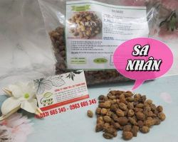 Mua bán cây sa nhân ở quận Tân Phú có tác dụng bổ tỳ vị