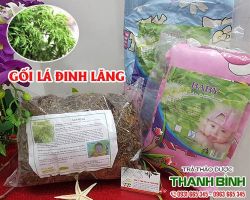 Mua bán gối lá đinh lăng ở huyện Hóc Môn giúp giảm triệu chứng mỏi cổ