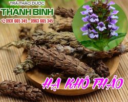 Mua bán hạ khô thảo ở quận Tân Phú giúp dưỡng da, giảm nếp nhăn