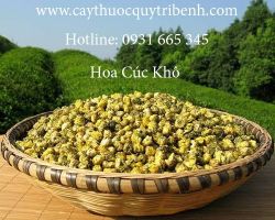 Mua bán hoa cúc khô uy tín tại Quảng Ninh có tác dụng làm sạch và dịu da