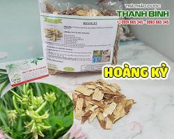 Mua bán hoàng kỳ tại huyện Thanh Oai hỗ trợ giảm cân