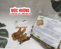 Mua bán mộc hương tại huyện Ứng Hòa chữa đau dạ dày hiệu quả nhất