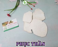 Mua bán phục thần tại Bình Thuận hỗ trợ bồi bổ sức khỏe hiệu quả