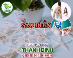 Mua bán sao biển ở quận Phú Nhuận giúp cải thiện chức năng sinh lý